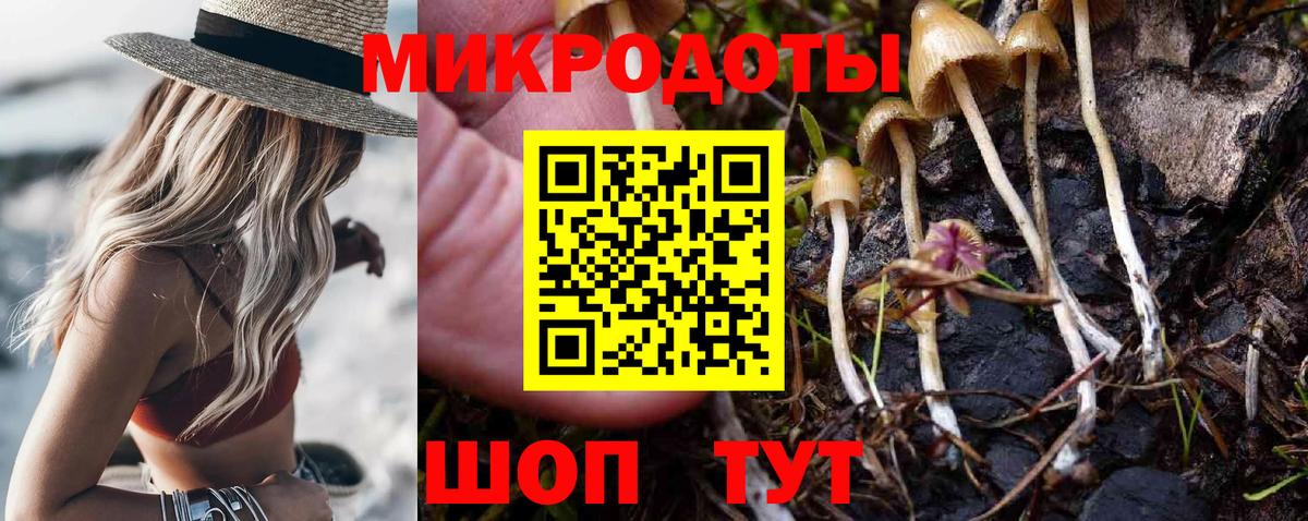 Псилоцибиновые грибы MAGIC MUSHROOMS  Вход с VPN  Братск 
